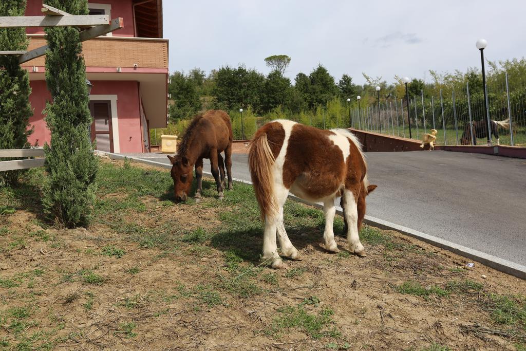 Agriturismo Ciociaro " Il Colle " Hotel Ristorante شيبرانو المظهر الخارجي الصورة